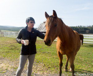 Joanne and chestnut