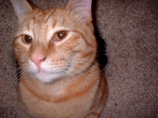 Mr. Hata joins us today.