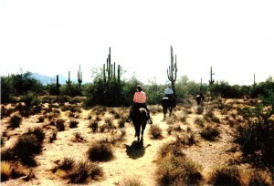 Riding into sunset