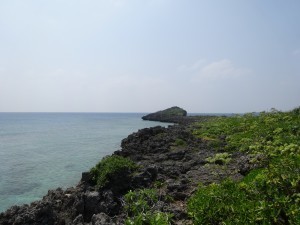 DSC04354