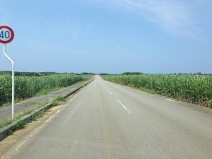 IMG_6315