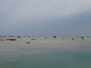 DSC04406