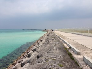 IMG_6209