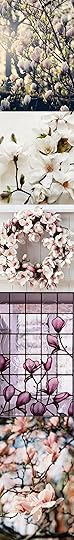 magnolia-beekman-five copy