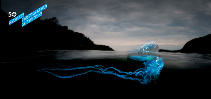 Photograph by Matty Smith, BBC Wildlife Photographer of the Year 2014 Finalist, see at Australian Museum