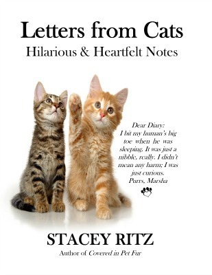 Letters-from-Cats