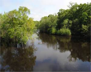 Dogwood is a fictional town near the Alapaha River.