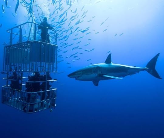 100 Things to Do Before You Die: You will never need to read another bucket list again.