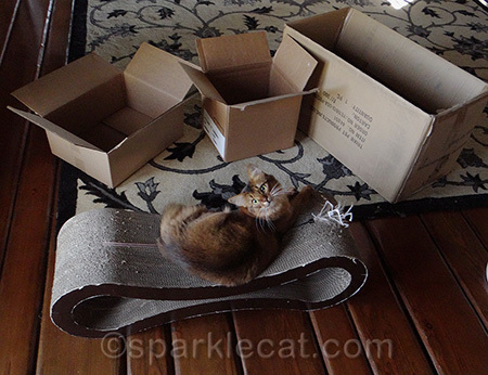 Note that I am not even particularly near said boxes