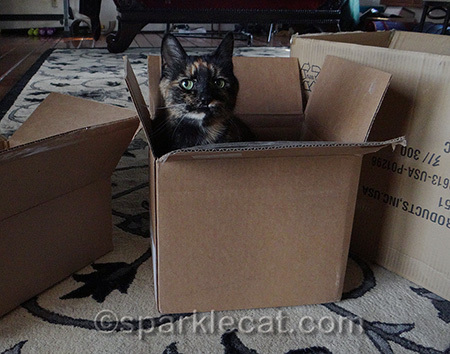 She looks like an evil Jack-in-the-box. Call her Binga-in-the-box