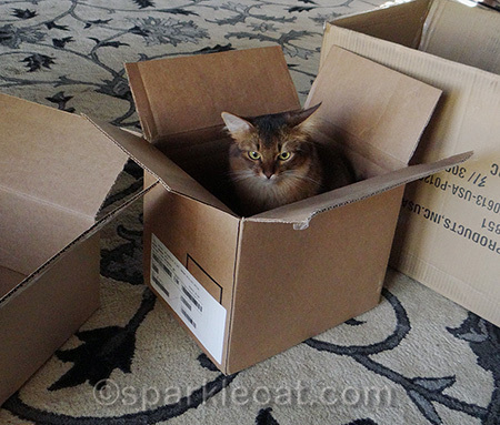 Unbox me, please