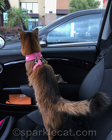 Some woman got out of the car next to me - and she didn't even SEE me!