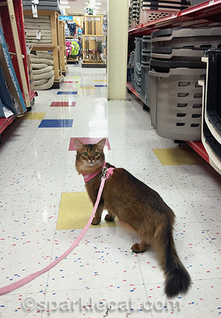 Wondering where to go first!