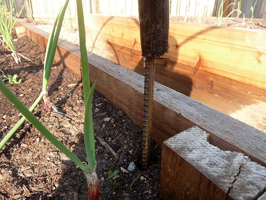 pvc-over-rebar