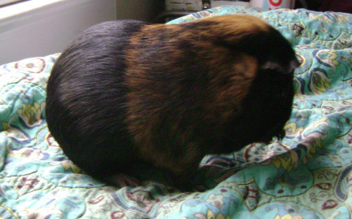 Belvedere studied sculpture at St. Martin’s College.