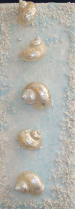 An easy way to add beach décor with shells in a framed grouping.