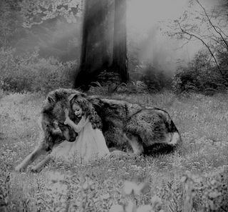z- Wolf & Child
