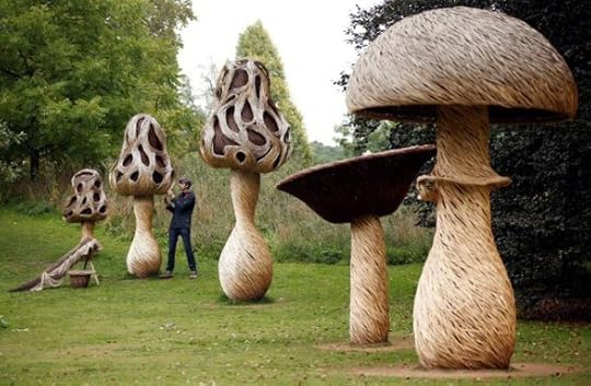 Mushrooms