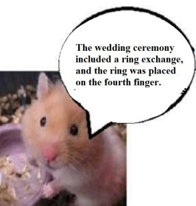 zhamsta41100167676767676767676