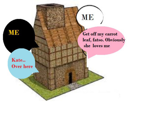 zmed555-0-00000000000000