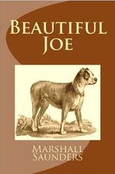 beautiful joe
