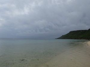 DSC04547