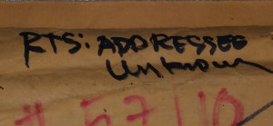 words on book package 