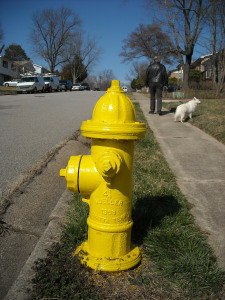 hydrant-96509_1280
