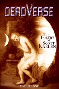 11210348_355531161324625_265008707_n