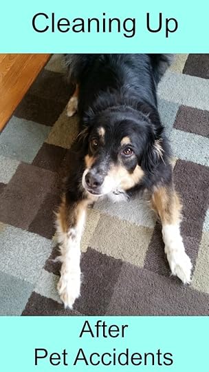 Cleaning_Up_After_Pet_Accidents