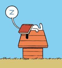 falling asleep with book