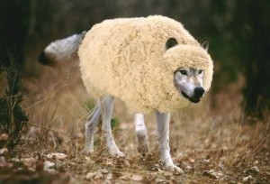 wolf-in-sheep-27s-clothing