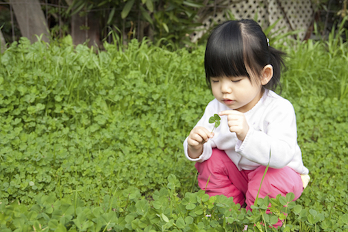 Young girl inspecting a clover in a green field