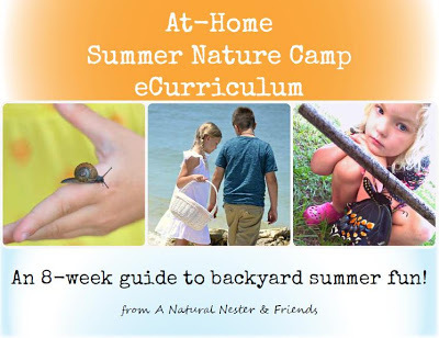 At Home Summer Nature Camp eCirriculum