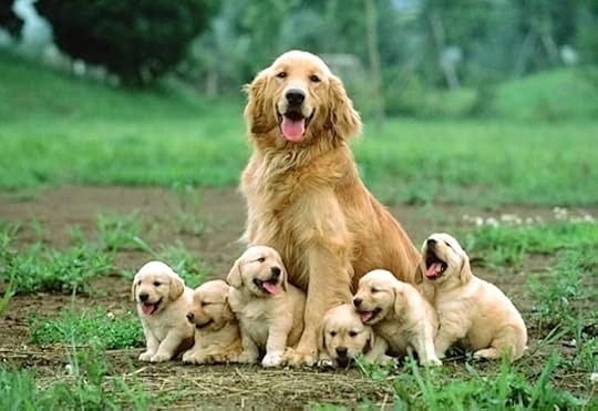 Happy Mother's Day