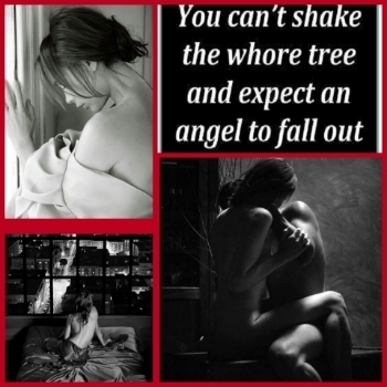  photo e36c7556-8d25-4bbb-b0b5-be6375c504b6_zps5vz6tnxs.jpg