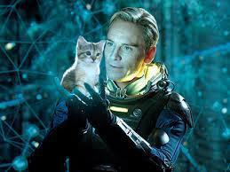 Look, it's Michael Fassbinder with a kitten! (Warning, this cute image is not in the drecky movie.)