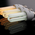 7 Essential Ways to Manage Energy