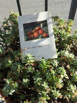 foto di Serena Pani.