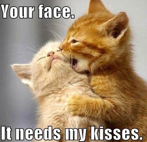 Hmmmm who to send this to???:) its definitely not weird that this is on our board...right?!? ;)