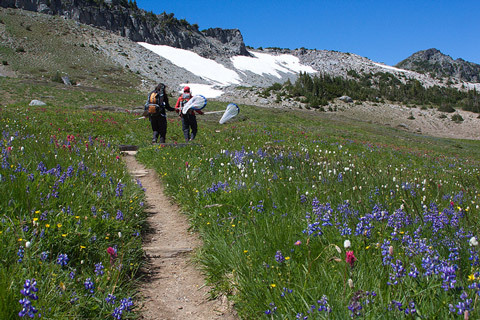 Photo: Digging science: Citizens amplify knowledge about the natural world