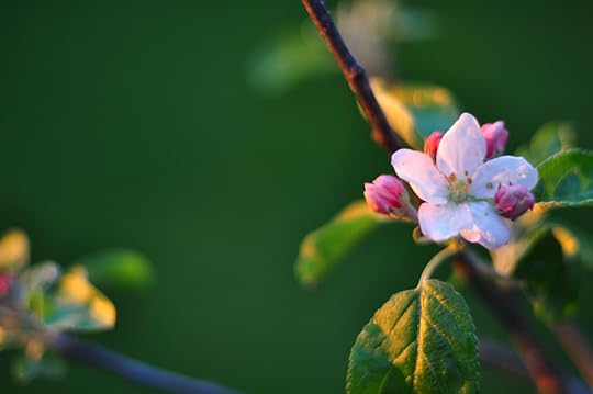 When You're Desperate for Some Hope in the Midst of a Monotonous Life