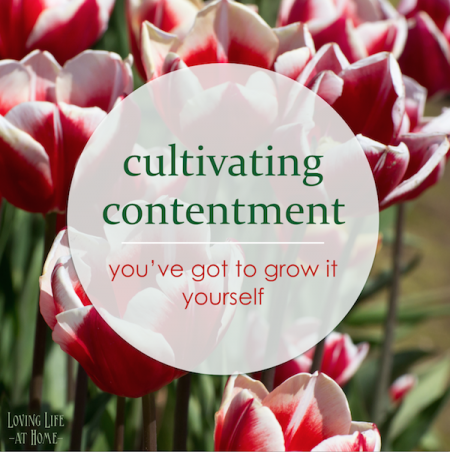Cultivating Contentment in the Season you're In