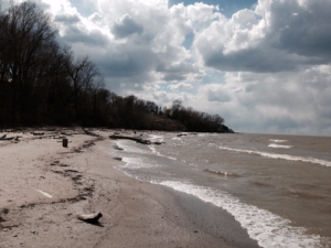 Find your path -- YOUR path. And follow it, no matter what the seagulls screech at you.