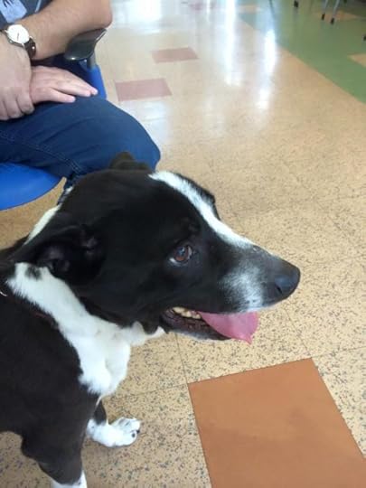 10300075_10205181019378973_8003277595535970824_n