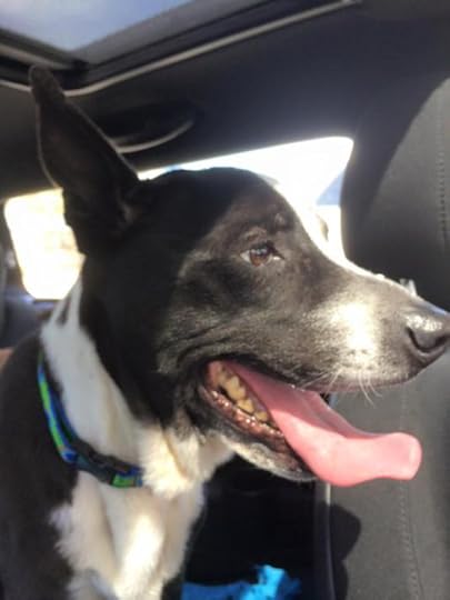 10985484_10205181019018964_9130212191740455038_n