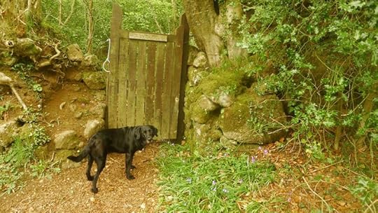 Woodland gate