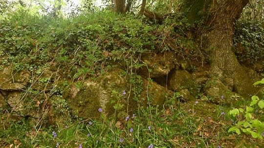 Woodland wall
