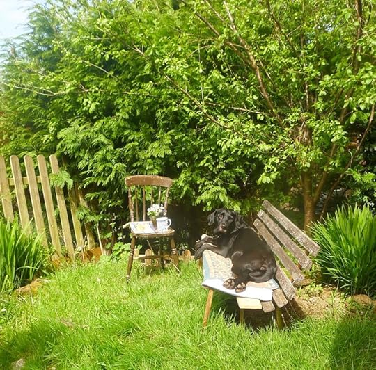 The bench beneath the plum tree