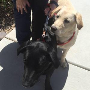 Lola and Angel